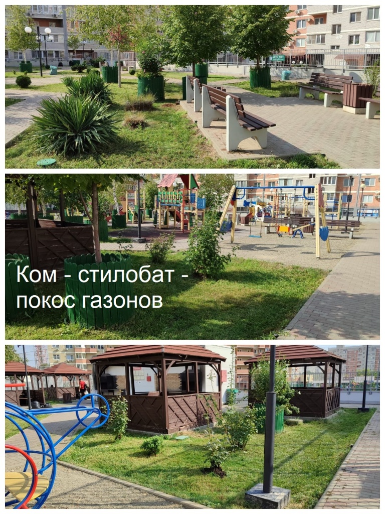 2025.09.04 - стилобат - покос газонов,.jpeg 2025.09.04 - стилобат - покос газонов,.jpeg