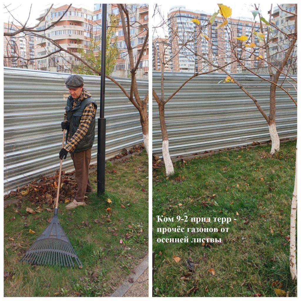 2025.11.19 - 9-2 пт - прочёс газонов от осенней листвы (2).jpeg