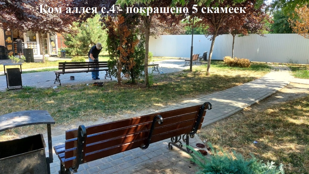 2025.07.15 - аллея с.4 - покрашено 5 скамеек.jpeg 2025.07.15 - аллея с.4 - покрашено 5 скамеек.jpeg
