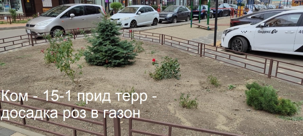 2025.09.08 - 15-1 пт - досадка роз в газон.jpeg 2025.09.08 - 15-1 пт - досадка роз в газон.jpeg