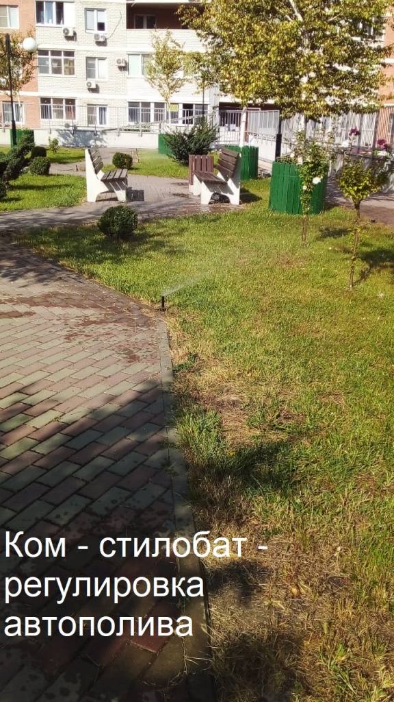 2025.09.08 - стилобат - регулировка  автополива.jpeg 2025.09.08 - стилобат - регулировка  автополива.jpeg