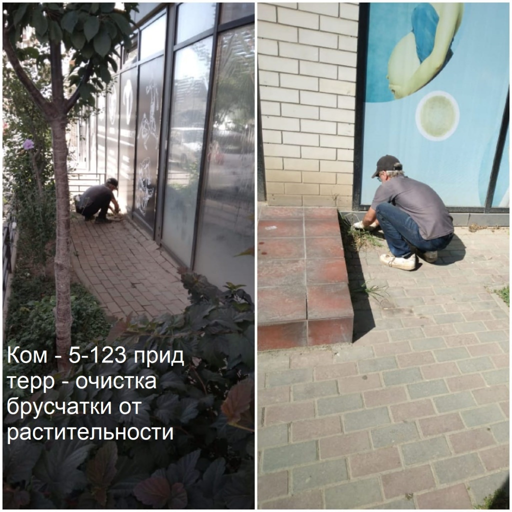 2025.09.04 - 5-123 пт - очистка брусчатки от растительности.jpeg 2025.09.04 - 5-123 пт - очистка брусчатки от растительности.jpeg