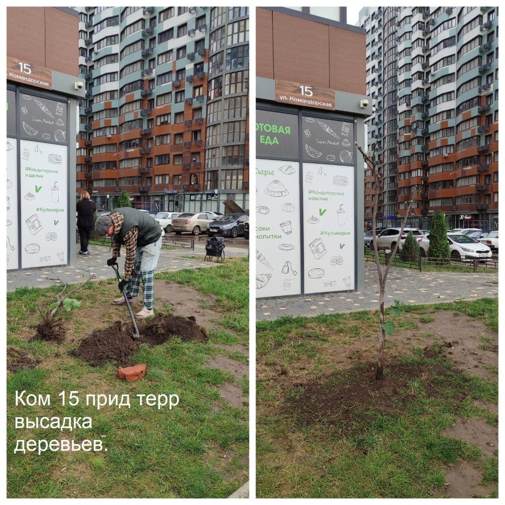 2025.10.15 - 15 пт высадка деревьев..jpeg 2025.10.15 - 15 пт высадка деревьев..jpeg
