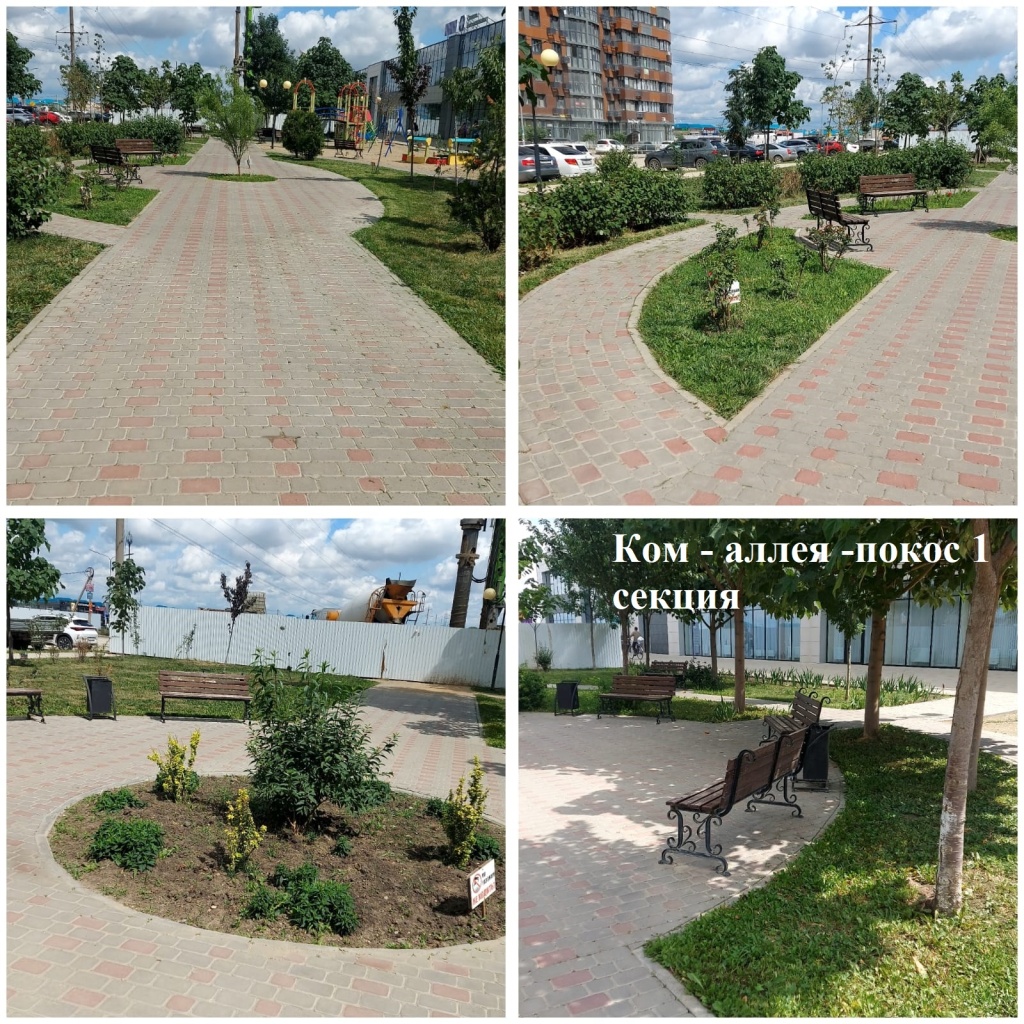 2025.07.02 - аллея -покос 1 секция.jpeg 2025.07.02 - аллея -покос 1 секция.jpeg