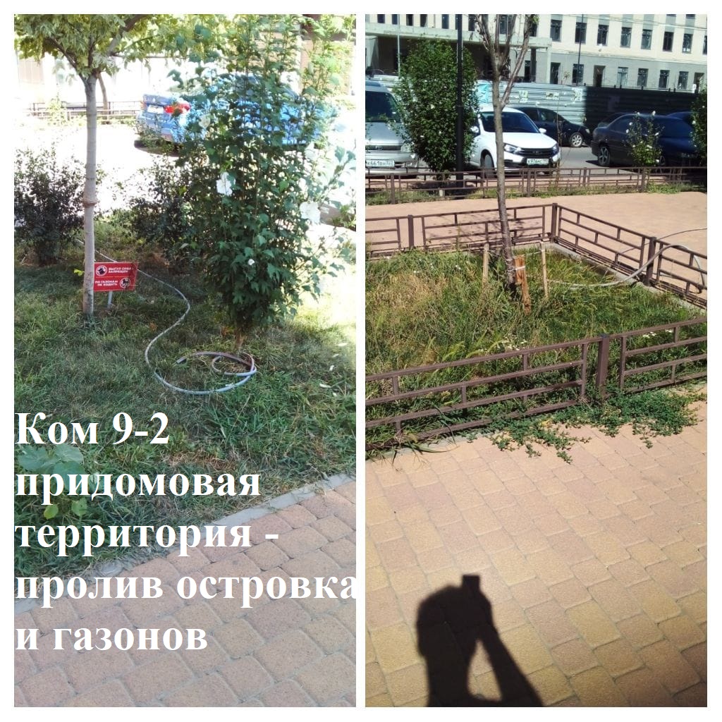 2025.08.12 -9-2 придомовая территория - пролив островка и газонов.jpeg 2025.08.12 -9-2 придомовая территория - пролив островка и газонов.jpeg