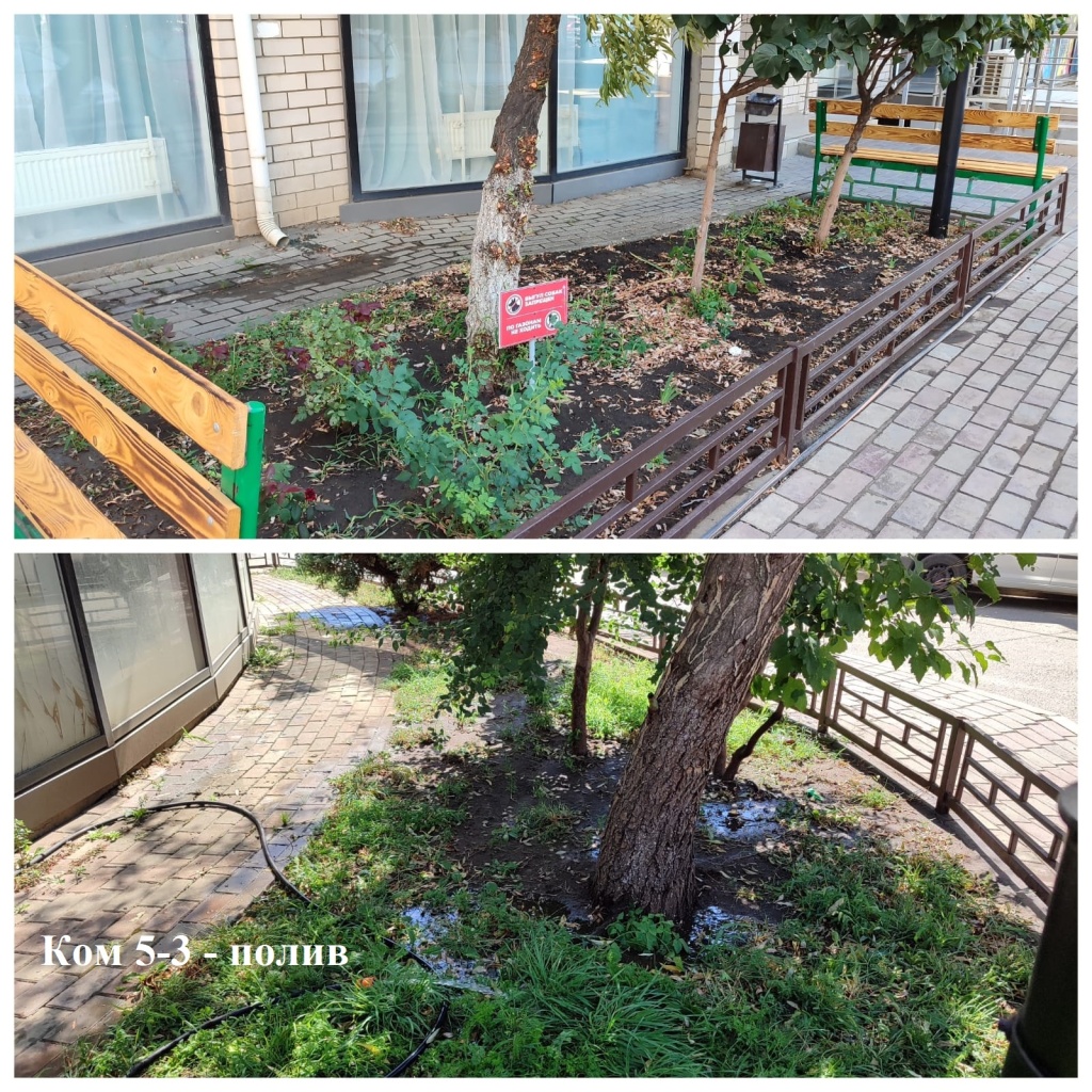 5-3 полив от 18.08.2025г..jpeg 5-3 полив от 18.08.2025г..jpeg